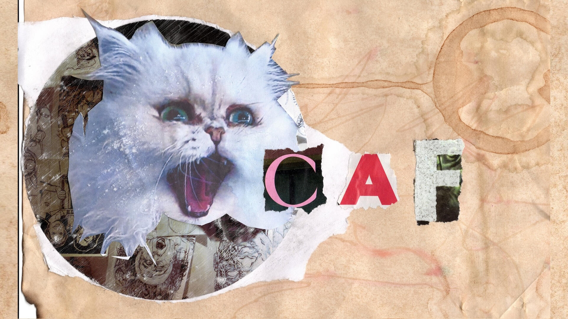 CAF_1920x1080_Header