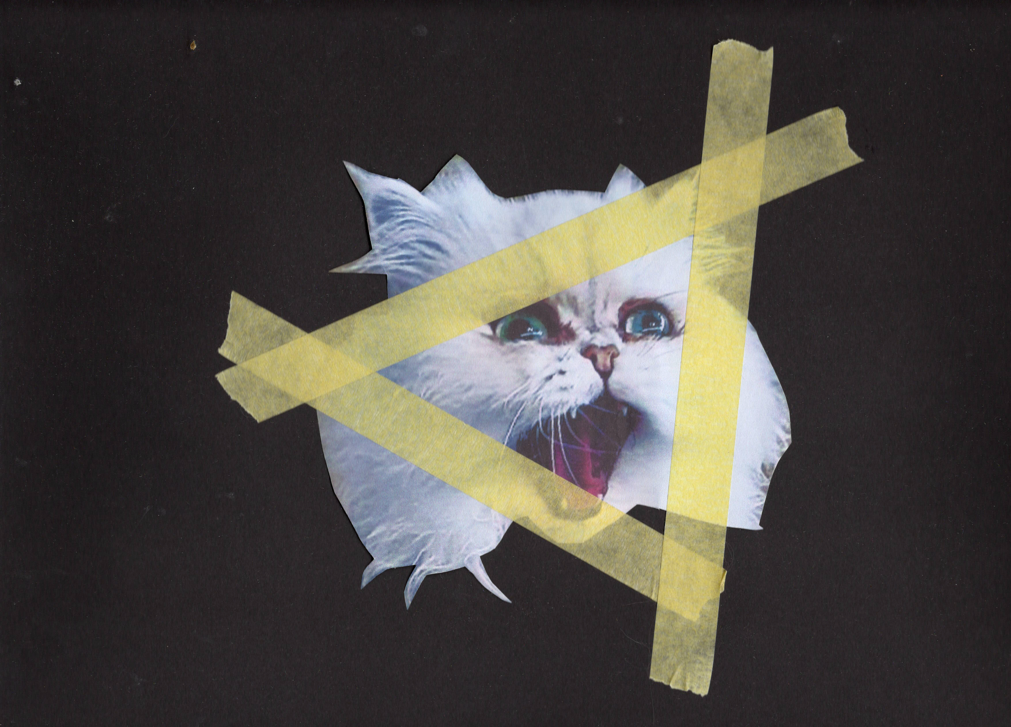 Practice What You Preach - An Ethical Music Campaign